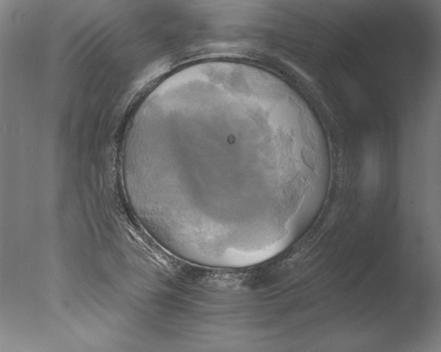 X0000076331411200610201653