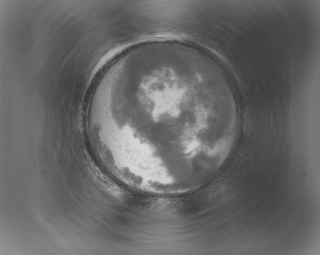 X0000076331412200610201653