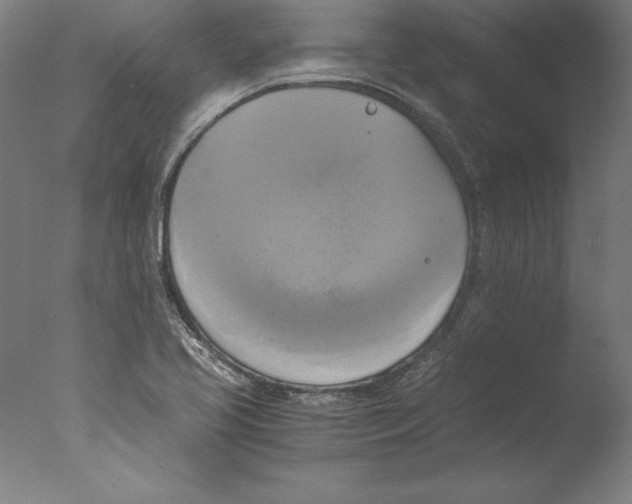 X0000076331413200610201653