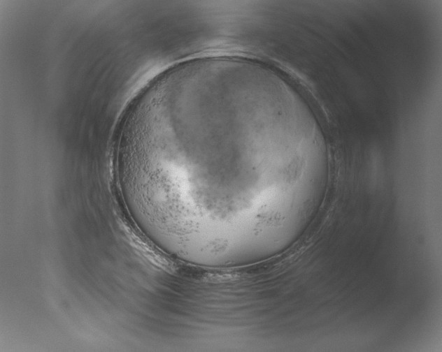 X0000076331415200610201653