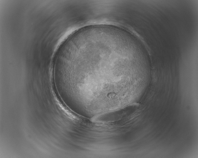 X0000076331416200610201653