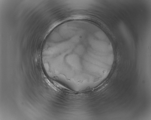 X0000076331417200610201653