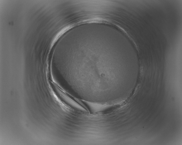 X0000076331418200610201653