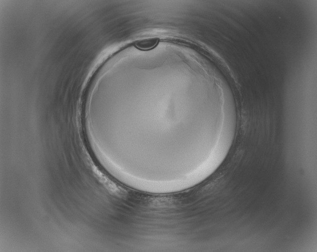 X0000076331421200610201653