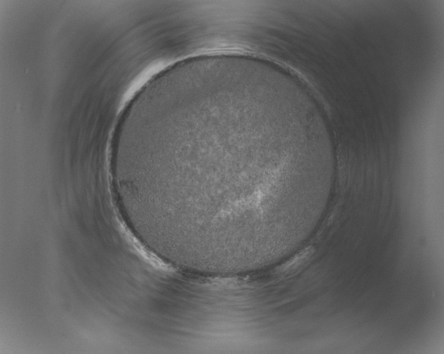 X0000076331422200610201653