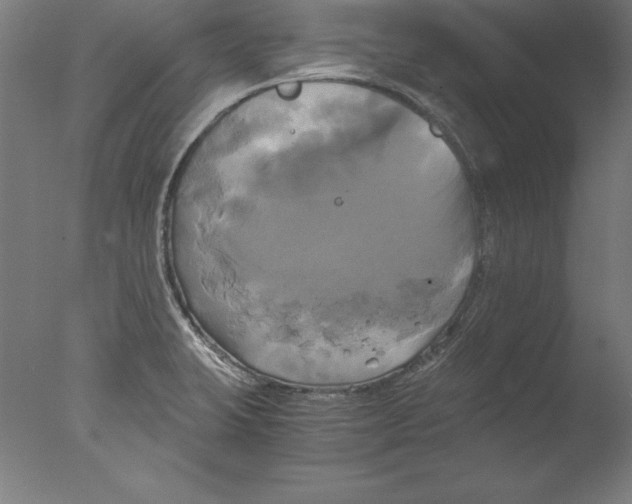 X0000076331423200610201653