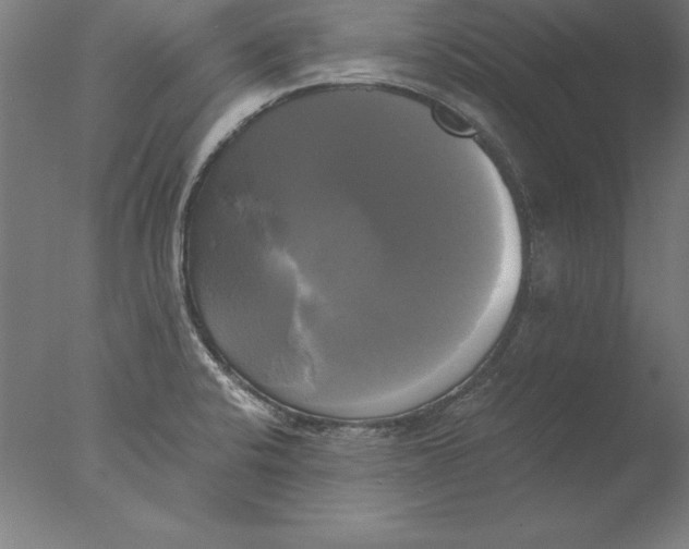 X0000076331424200610201653