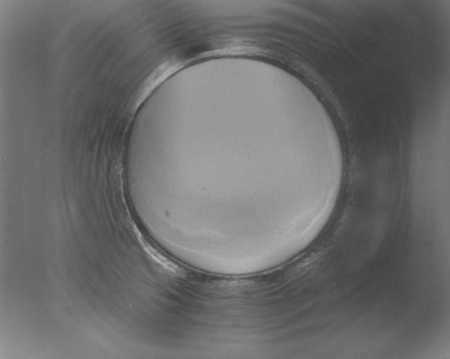 X0000076331425200610201653