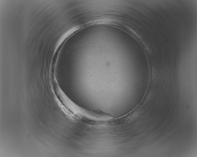 X0000076331426200610201653