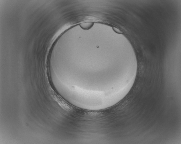 X0000076331427200610201653