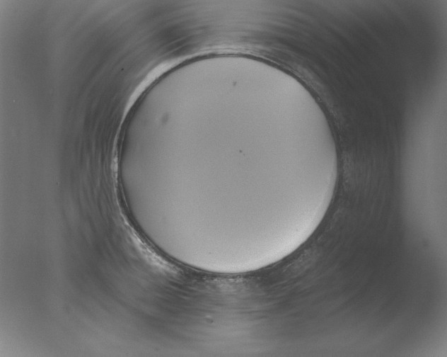 X0000076331428200610201653