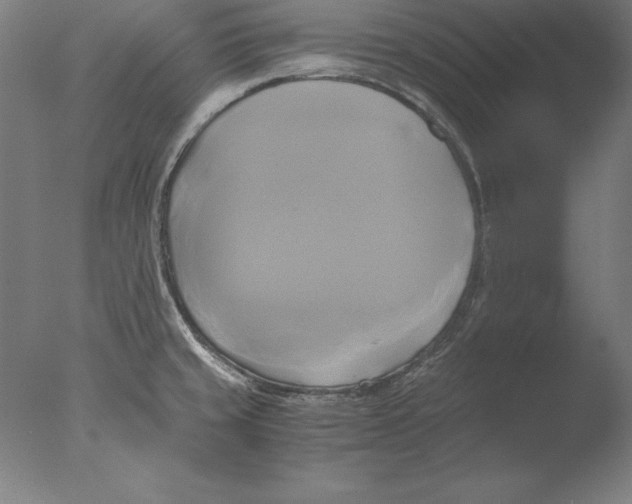 X0000076331429200610201653