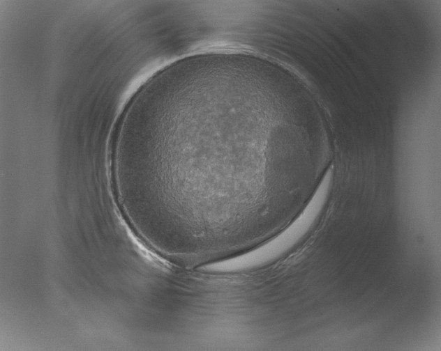 X0000076331430200610201653