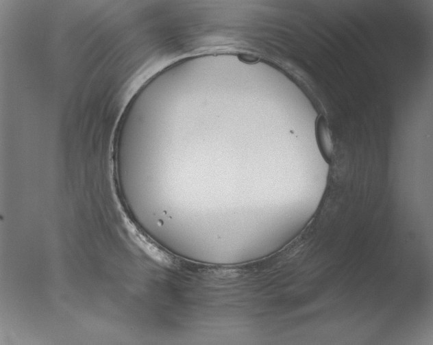 X0000076331431200610201653