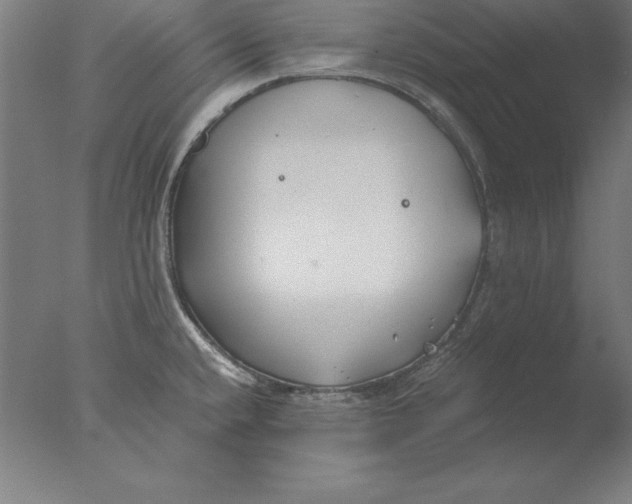 X0000076331432200610201653