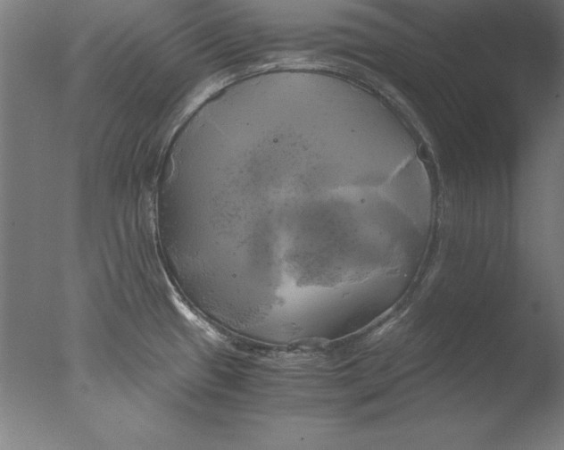 X0000076331433200610201653