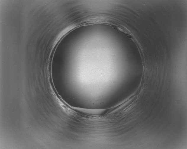 X0000076331434200610201653