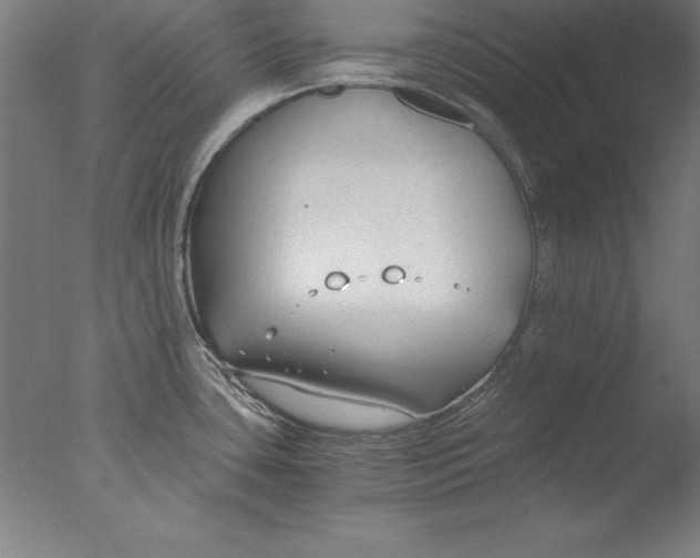 X0000076331435200610201653