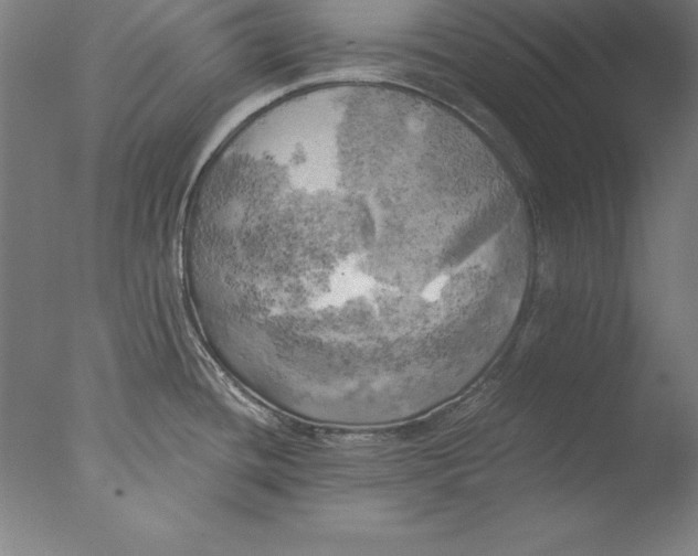 X0000076331436200610201653