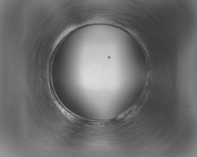 X0000076331438200610201653