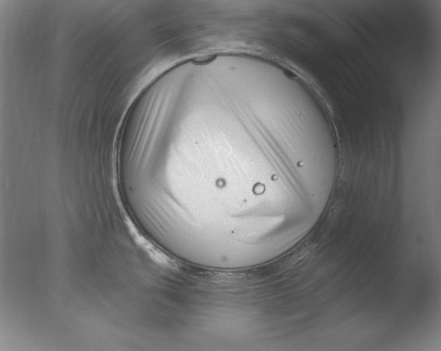 X0000076331439200610201653