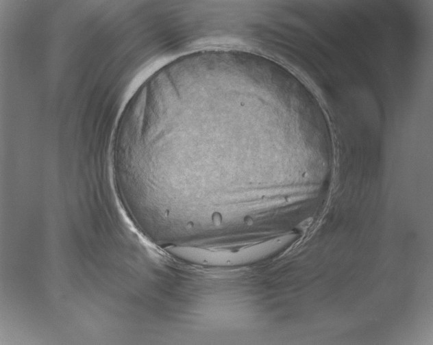 X0000076331440200610201653