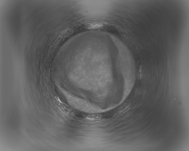 X0000076331441200610201652