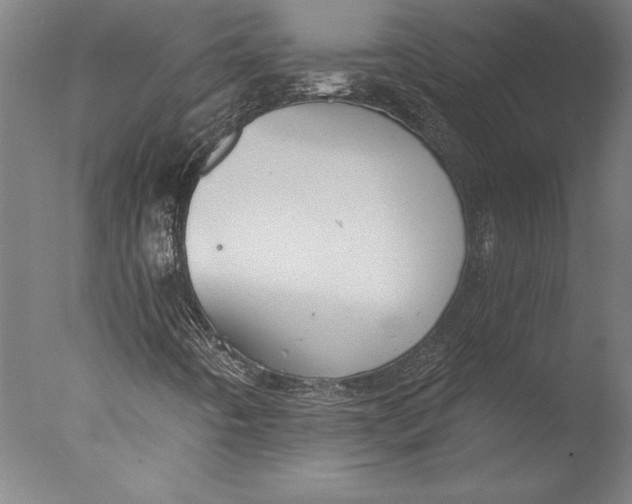 X0000076331442200610201652