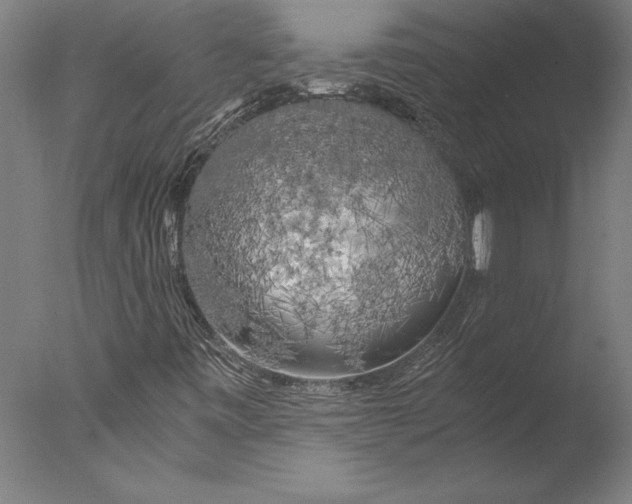 X0000076331443200610201652