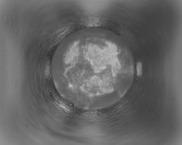 X0000076331444200610201652