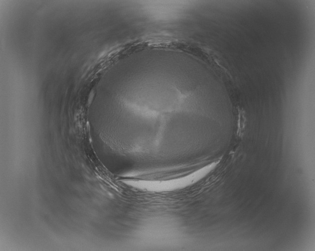 X0000076331445200610201652