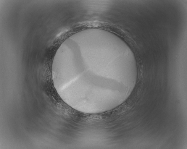 X0000076331446200610201652