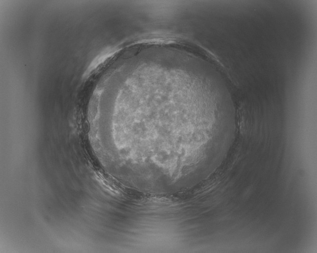 X0000076331448200610201652