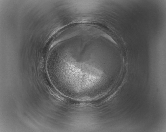 X0000076331449200610201652