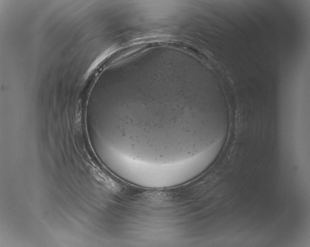 X0000076331450200610201652