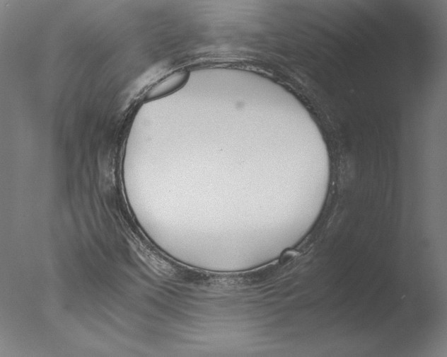 X0000076331451200610201652