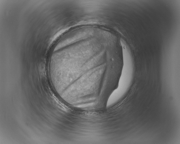 X0000076331452200610201652