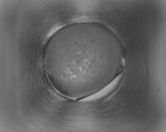 X0000076331453200610201652