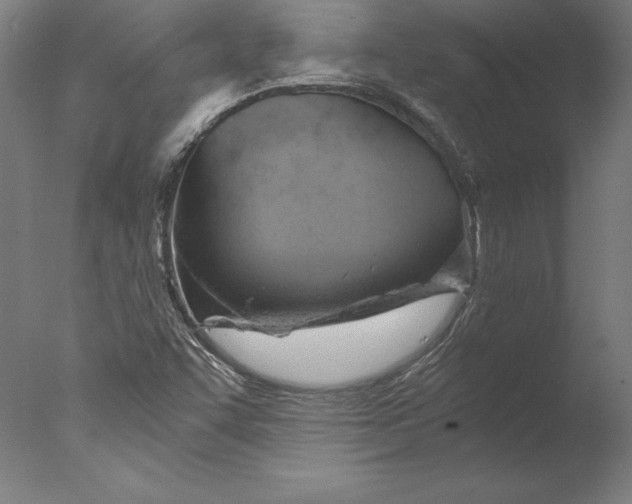 X0000076331455200610201652