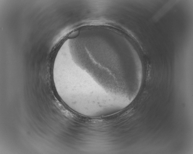 X0000076331456200610201652