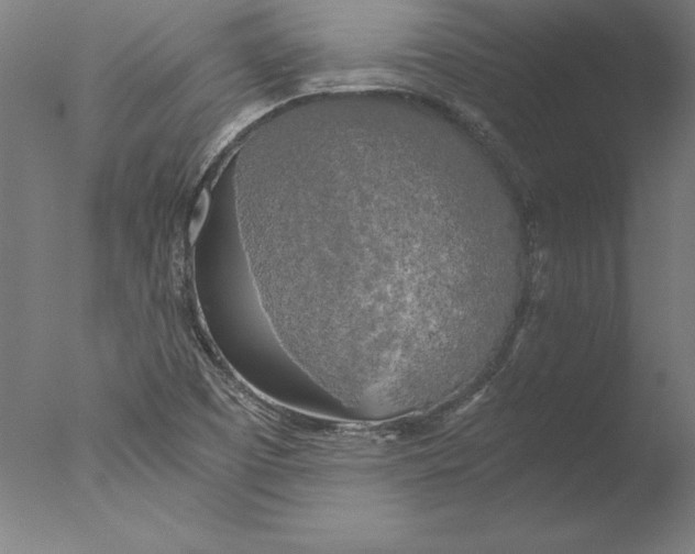 X0000076331457200610201652