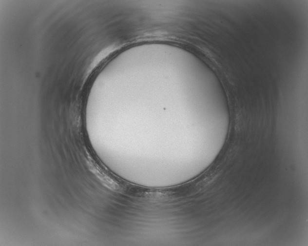 X0000076331458200610201652