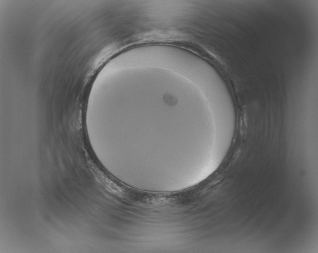 X0000076331459200610201652