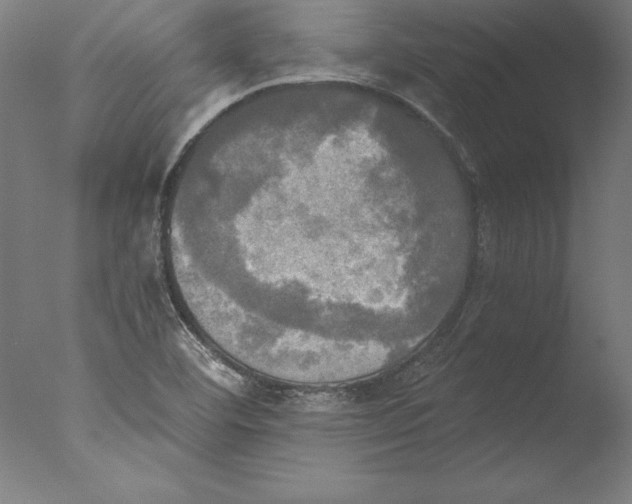 X0000076331460200610201652