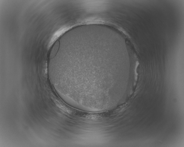 X0000076331461200610201652