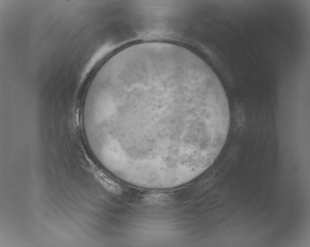 X0000076331462200610201652