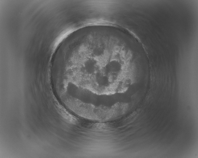 X0000076331463200610201652