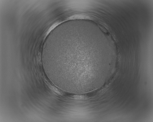 X0000076331465200610201652