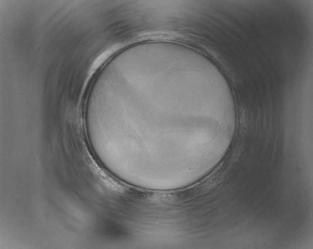 X0000076331466200610201652