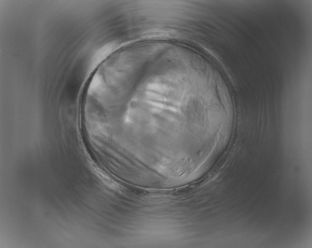 X0000076331467200610201652